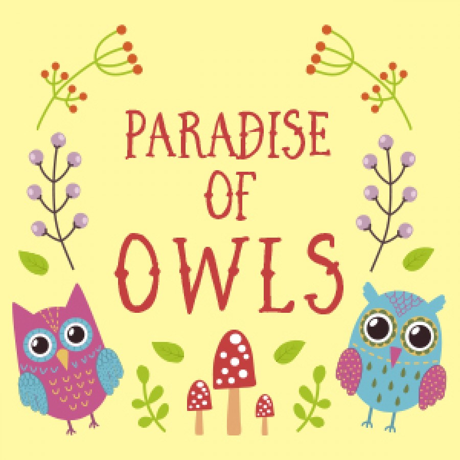 貓頭鷹樂園 Paradise Of Owls